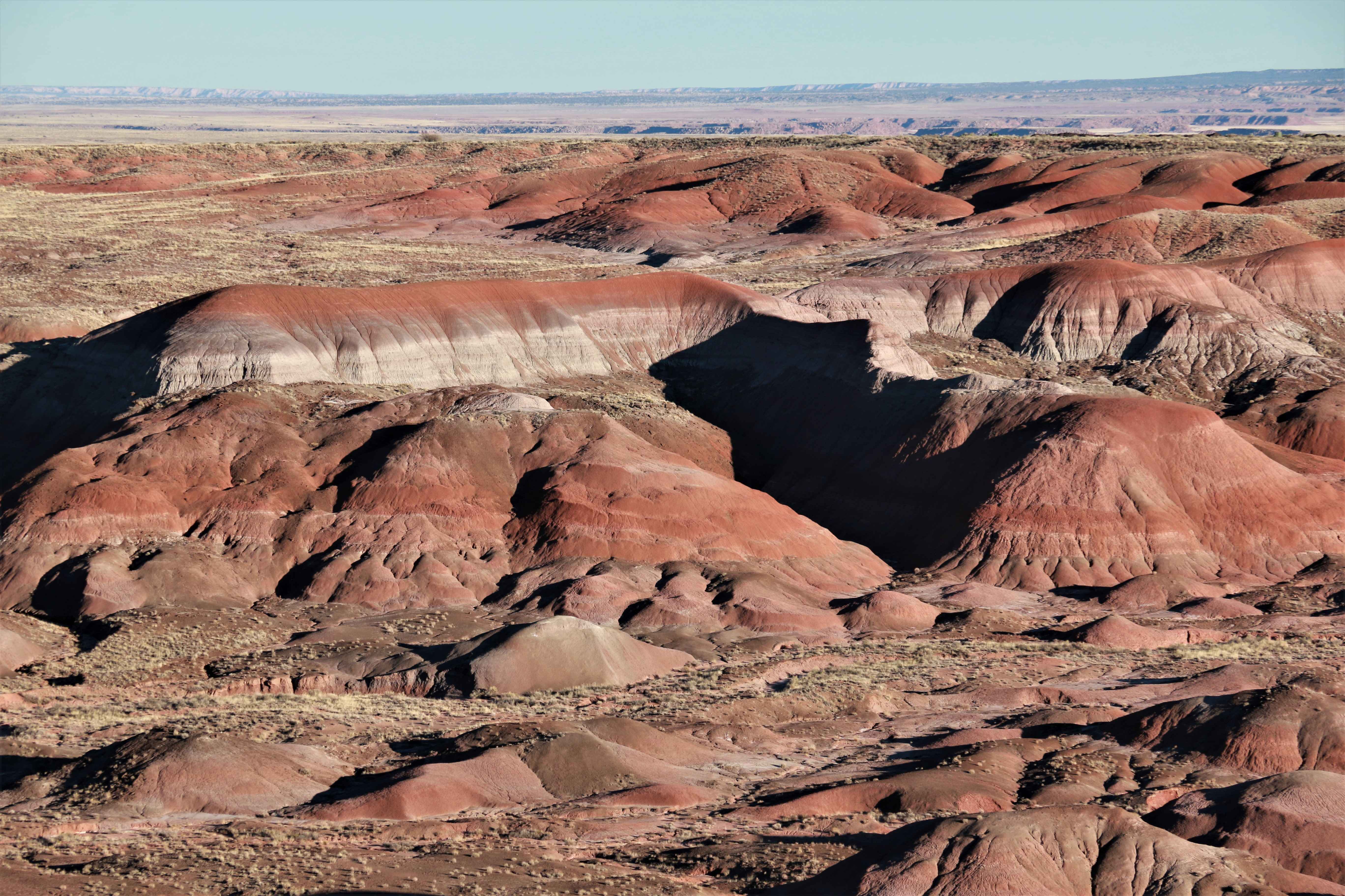 Petrified Forest NP